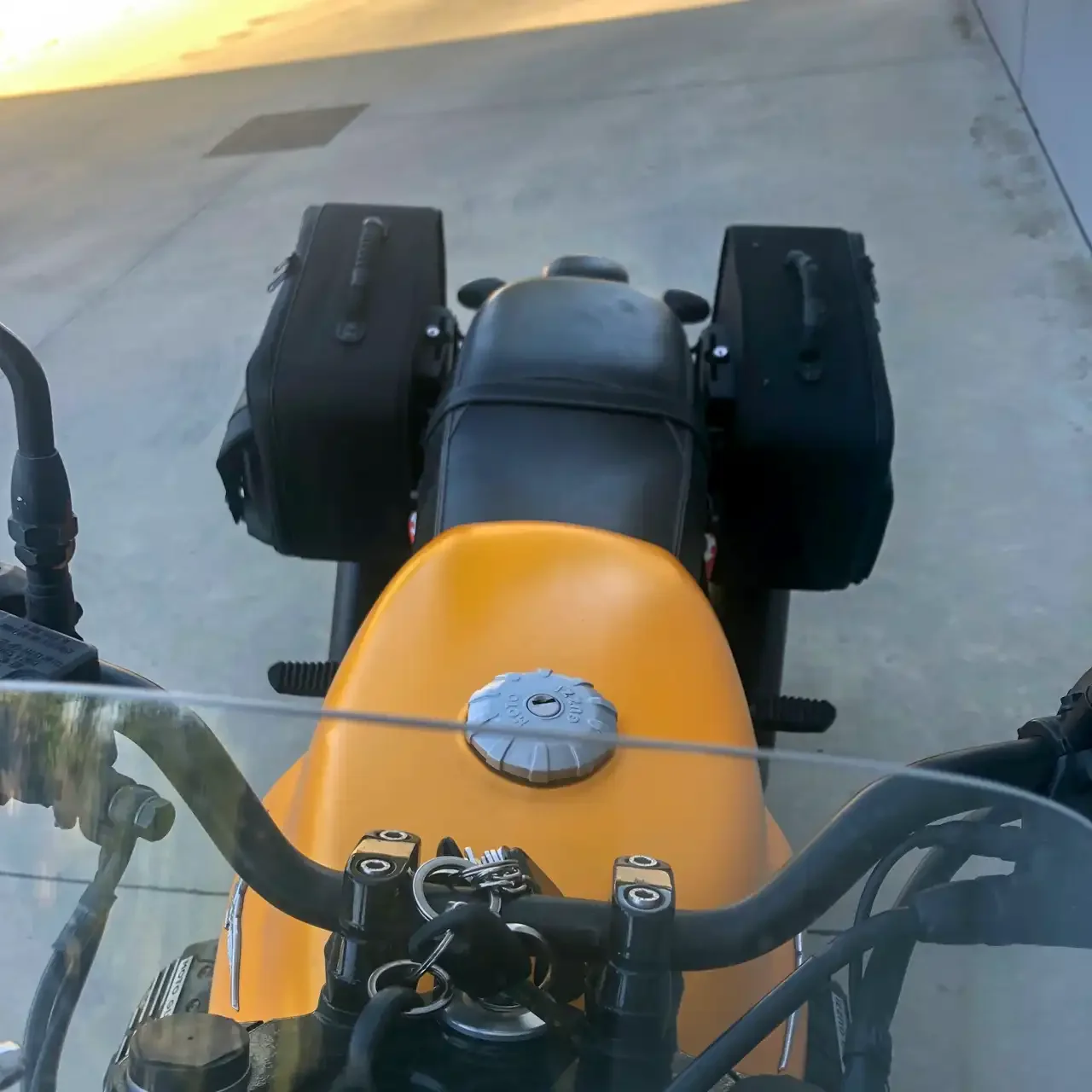 Borse laterali per Moto Guzzi V7 III, coppia di borse TRAVEL CENTENARIO - immagine 4